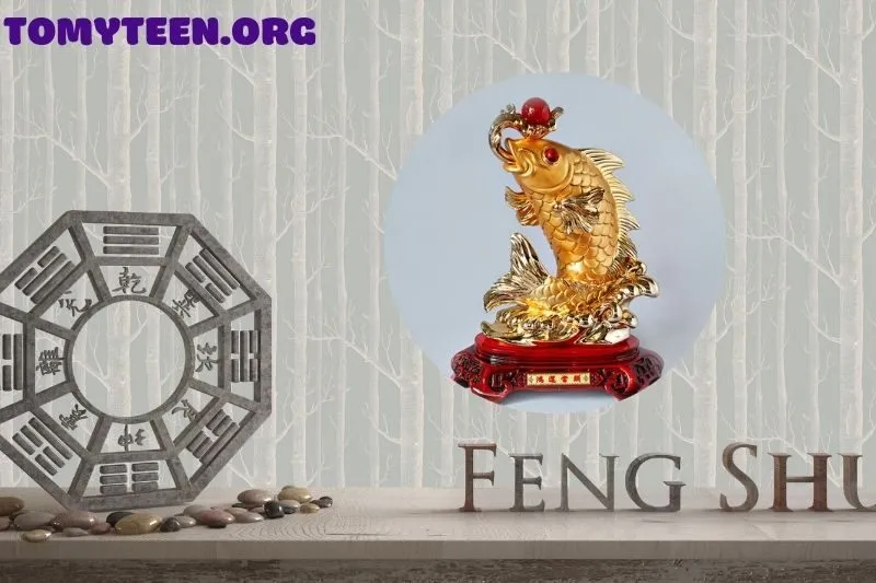 Cá Chép phong thuỷ hợp và khắc mệnh nào?