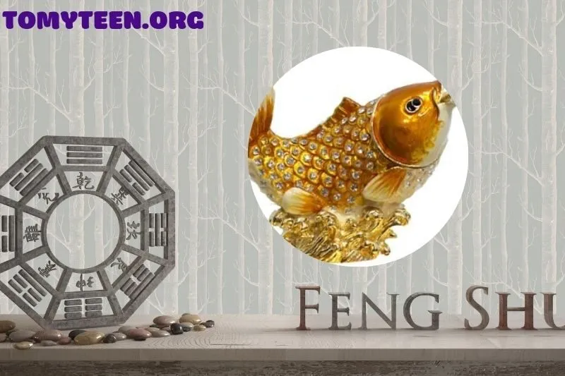 Cá Chép phong thuỷ là gì? Ý nghĩa và lợi ích