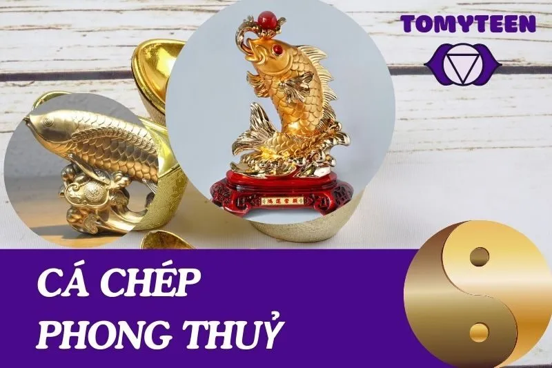 Cá Chép Phong Thuỷ: Ý Nghĩa, Cách Bài Trí Và Lợi Ích Phong Thuỷ