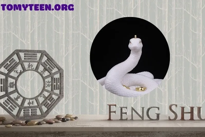 Các loại tượng Rắn phong thuỷ phổ biến và cách lựa chọn phù hợp