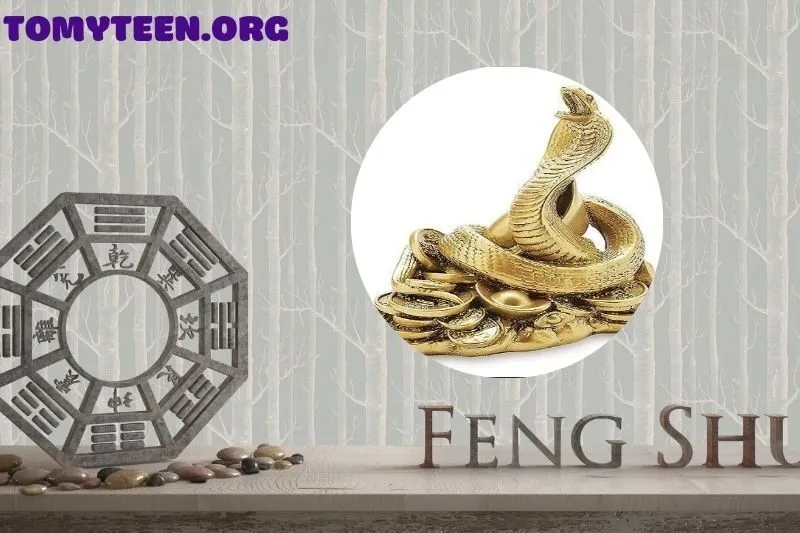 Cách bài trí tượng Rắn phong thuỷ đúng chuẩn để phát huy hiệu quả