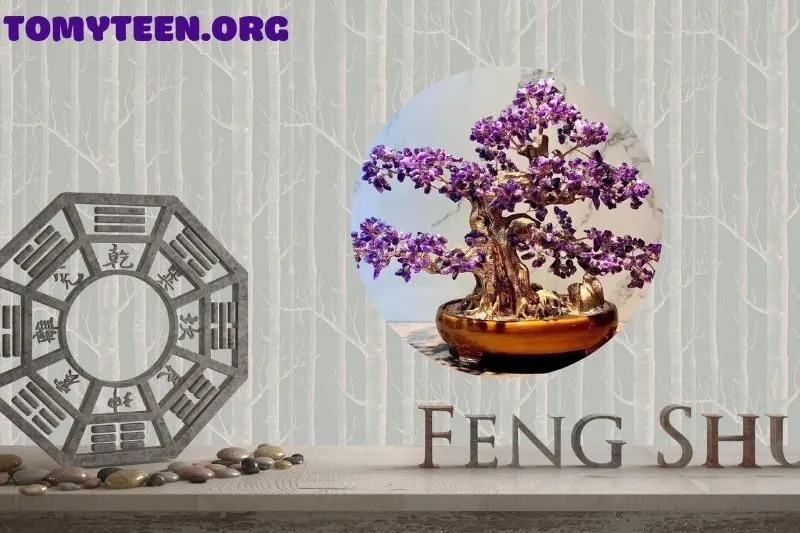 Cách chọn cây bonsai hợp mệnh và không gian sống