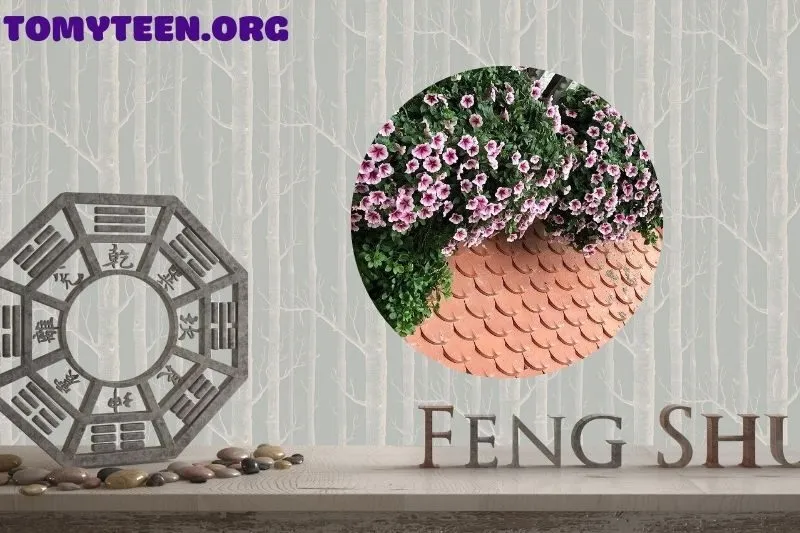 Cách chọn mua và trồng cây hoa dạ yến thảo phong thủy