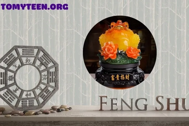 Cách đặt Thiềm Thừ đúng phong thuỷ để mang lại tài lộc