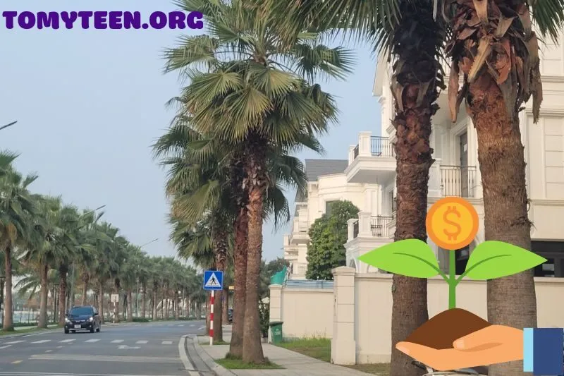 Cách Lựa Chọn Cây Cọ Phong Thuỷ Phù Hợp