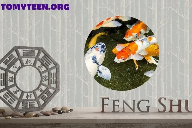 Cách lựa chọn tượng cá Koi phong thủy phù hợp với mệnh gia chủ