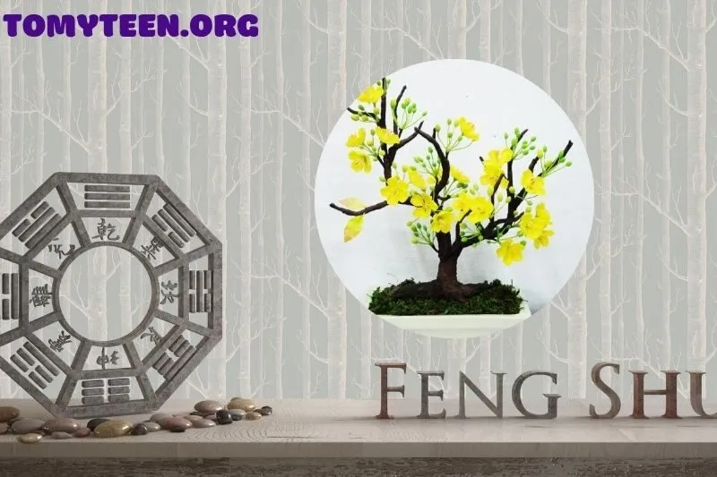 Cách trồng cây mai vàng phong thủy tại nhà