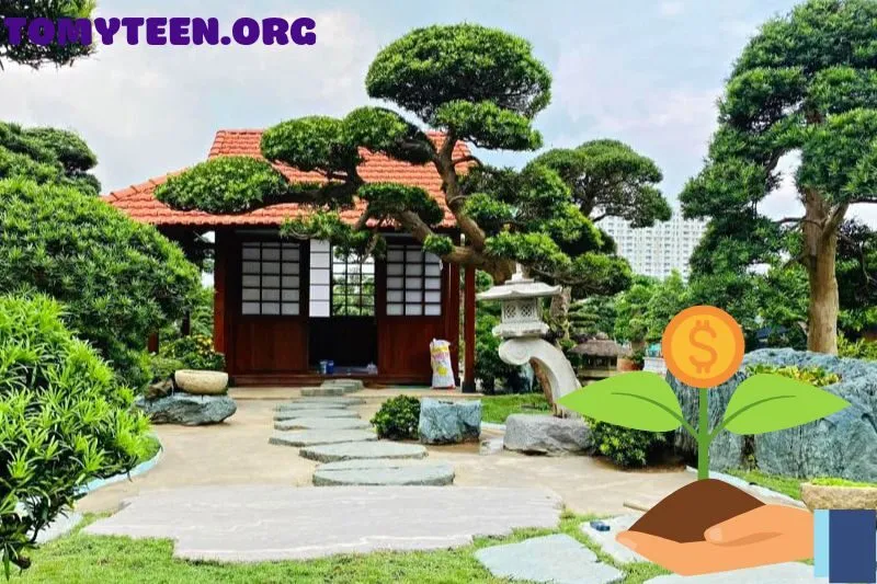 Cách trồng cây tùng la hán tại nhà