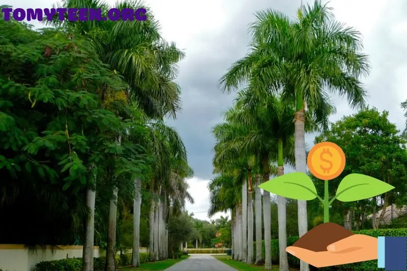 Cách trồng và chăm sóc cây Cau Vua đúng cách