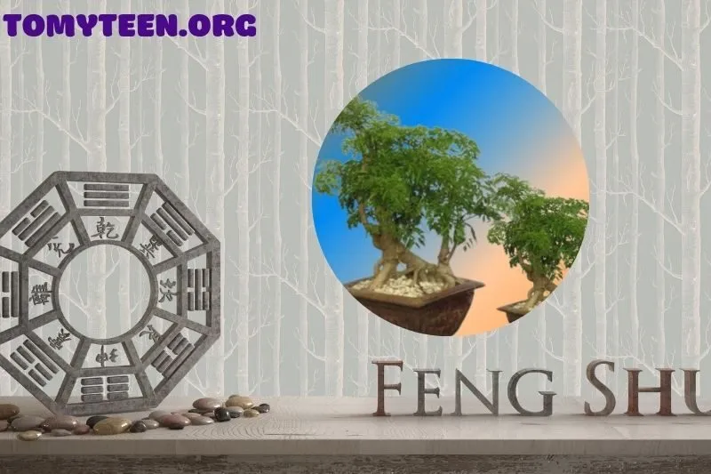 Cây đinh lăng trong ẩm thực và y học: Giá trị vượt trội