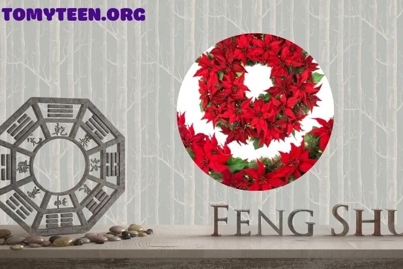 Cây hoa trạng nguyên hợp mệnh nào, tuổi nào?