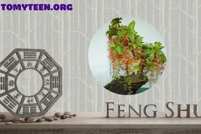 Cây Lộc Vừng Phong Thuỷ Có Ý Nghĩa Gì?