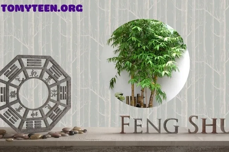 Cây tre phong thủy trong việc bố trí không gian sống