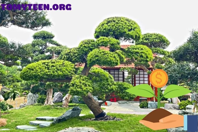 Cây Tùng La Hán hợp mệnh gì? Tuổi nào?