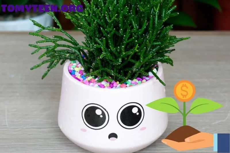 Hướng Dẫn Chăm Sóc Cây Lộc Nhung