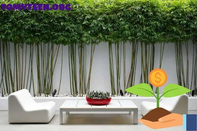 Hướng dẫn trồng và chăm sóc cây trúc quân tử