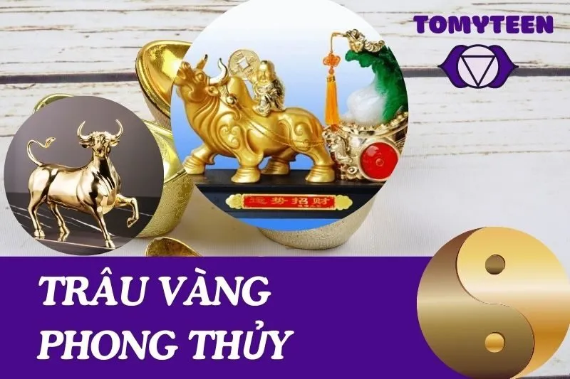 trâu vàng phong thuỷ