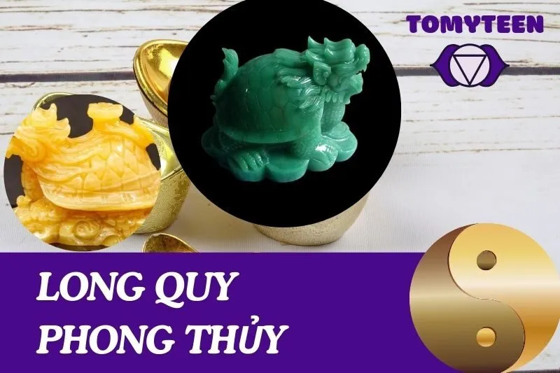 Khám Phá Ý Nghĩa Và Cách Sử Dụng Long Quy Phong Thủy Hiệu Quả