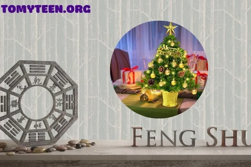 Lợi ích của cây thông Noel trong không gian sống