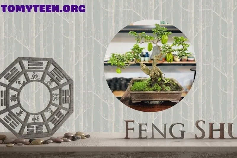 Lợi ích sức khỏe từ cây khế và cách sử dụng