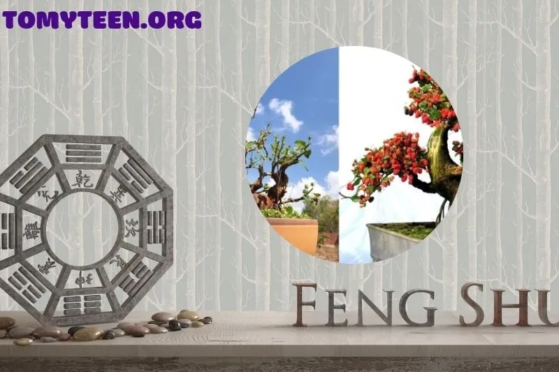 Lợi ích sức khỏe và giá trị sử dụng của cây dâu tằm