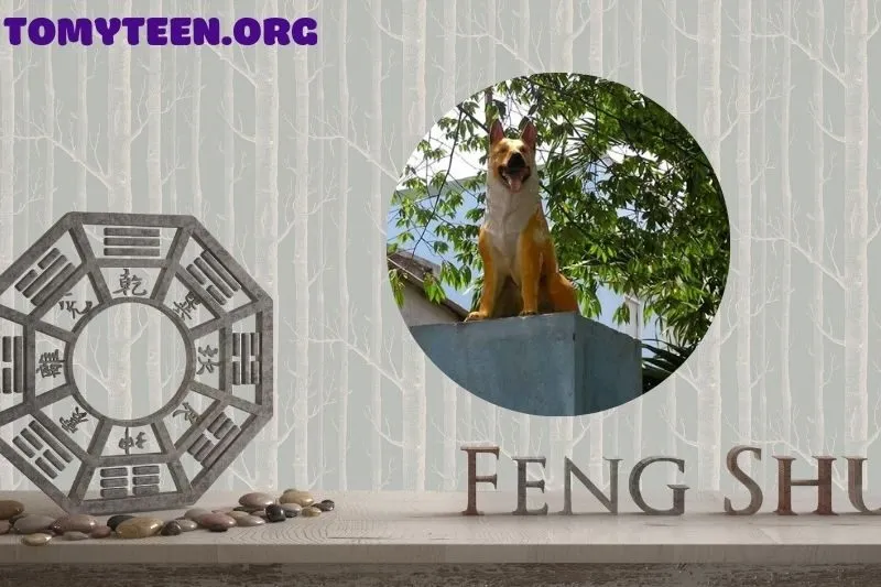 Những điều cần tránh khi sử dụng Tượng Chú Chó phong thuỷ