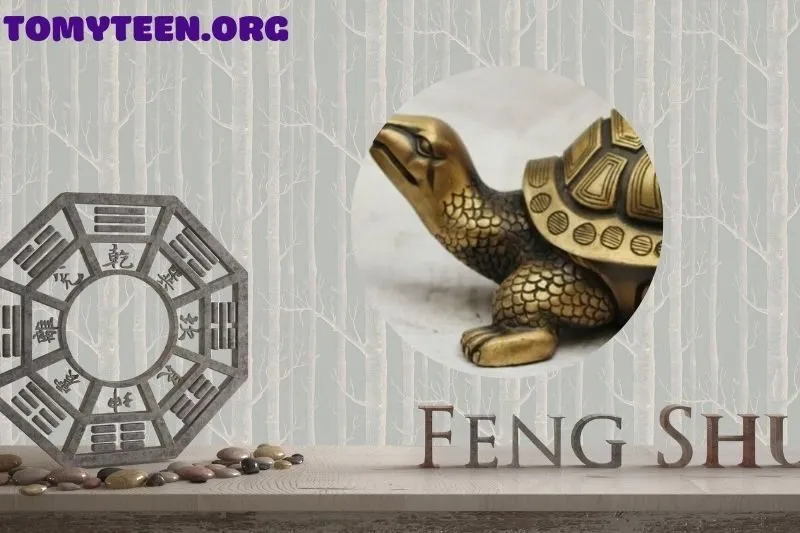 Những lưu ý quan trọng khi sử dụng tượng rùa phong thủy
