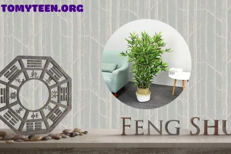 Tại sao nên trồng cây tre phong thủy trước nhà