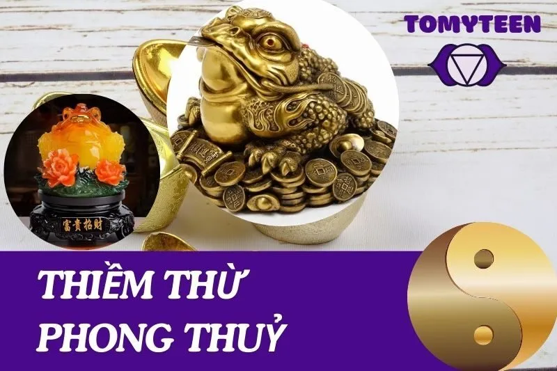 Thiềm Thừ Phong Thuỷ: Ý Nghĩa Và Cách Đặt Mang Lại Tài Lộc
