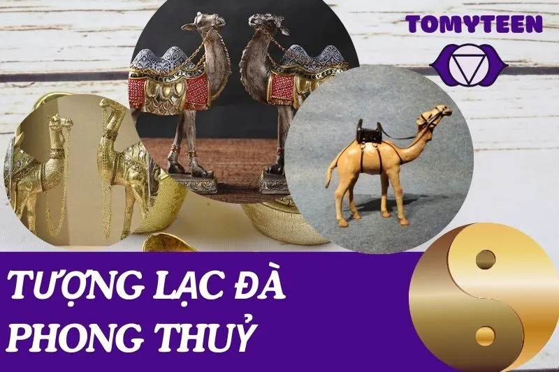Tượng Lạc Đà phong thuỷ