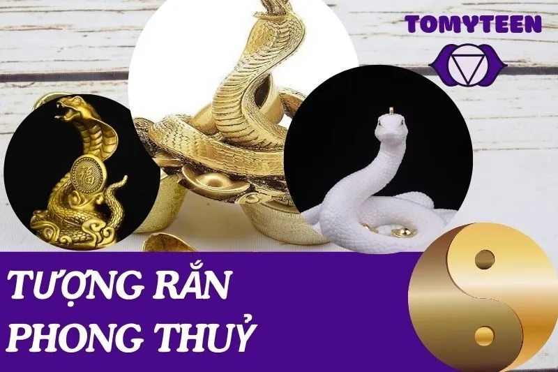 Tượng Rắn phong thuỷ