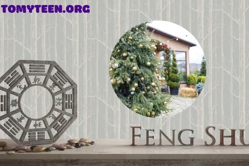 Vị trí đặt cây thông Noel trong nhà và sân vườn