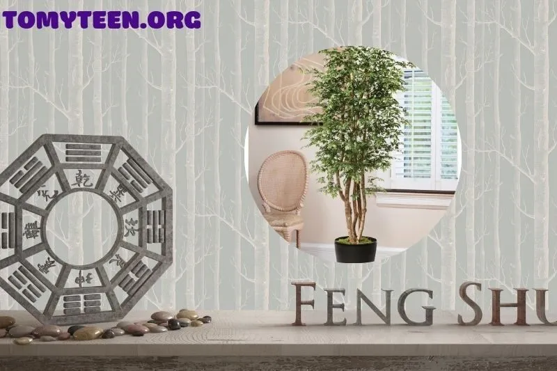 Ý nghĩa cây đinh lăng phong thủy