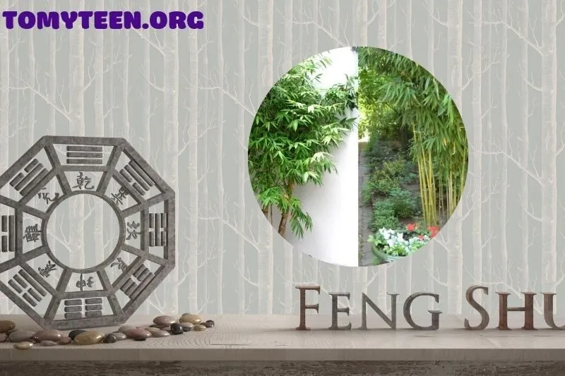 Ý nghĩa của cây tre trong phong thủy