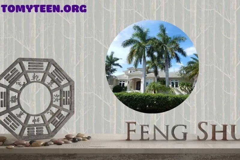 Ý nghĩa phong thuỷ của cây Cau Vua