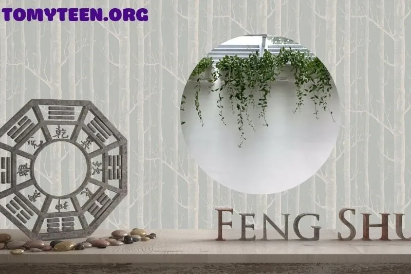 Ý nghĩa phong thủy của cây cúc tần Ấn Độ