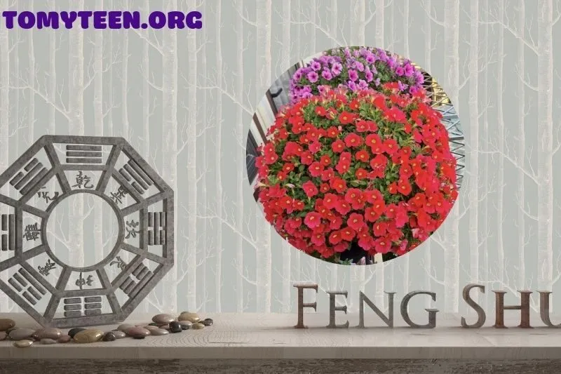 Ý nghĩa phong thủy của cây hoa dạ yến thảo