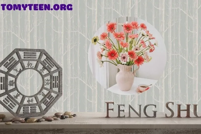 Ý nghĩa phong thủy của cây hoa đồng tiền