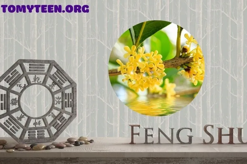 Ý nghĩa phong thủy của cây mộc hương