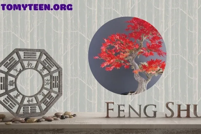 Ý Nghĩa Phong Thuỷ Của Cây Phong Lá Đỏ