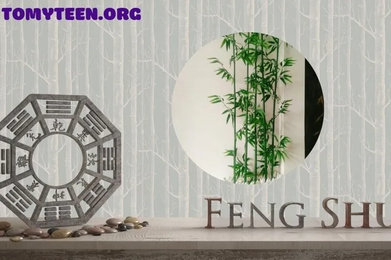 Ý nghĩa phong thủy của cây trúc quân tử