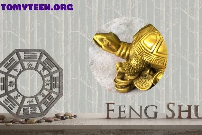 Ý nghĩa tượng rùa phong thủy và tác dụng đối với gia chủ