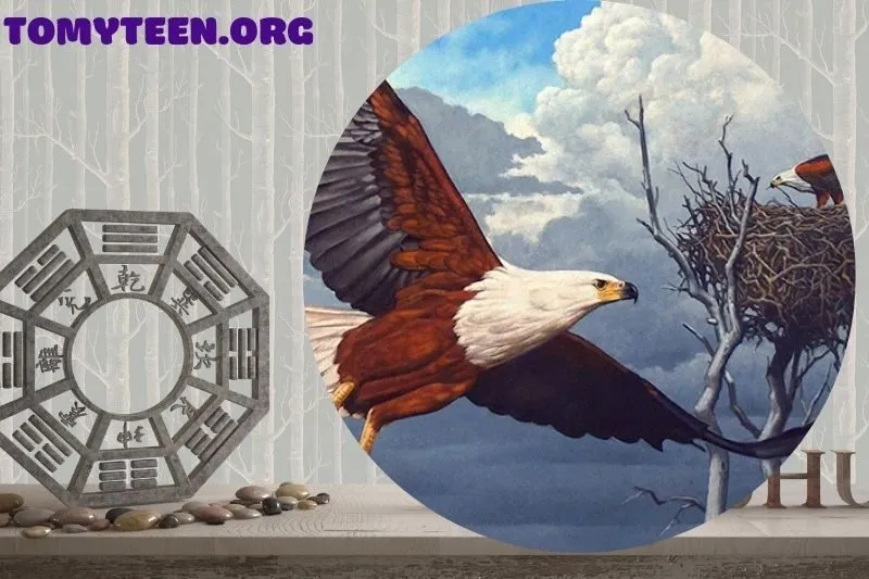 So sánh các loại tranh đại bàng phong thủy phổ biến