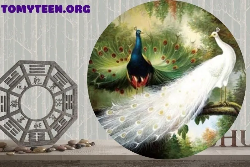 Ý nghĩa của tranh chim công trong phong thủy